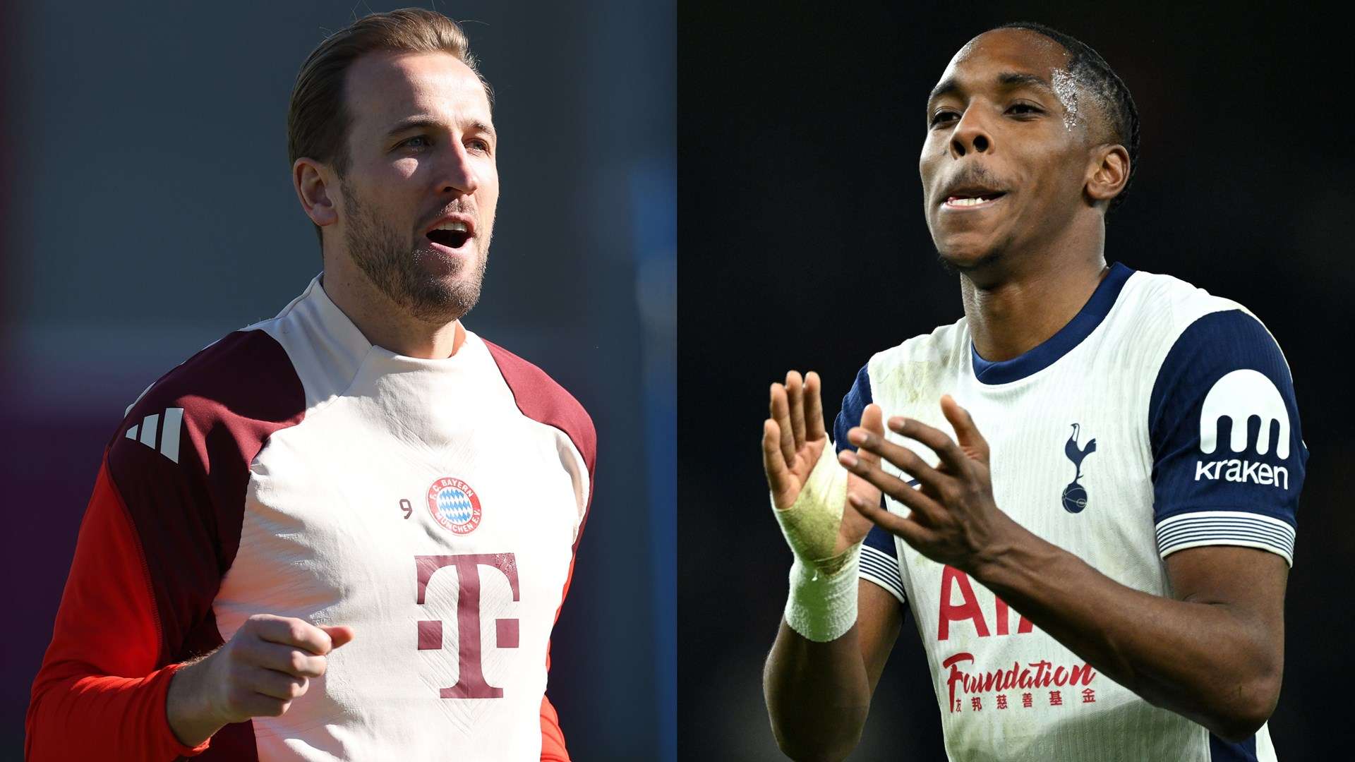 赏性与实用 赏性与实用