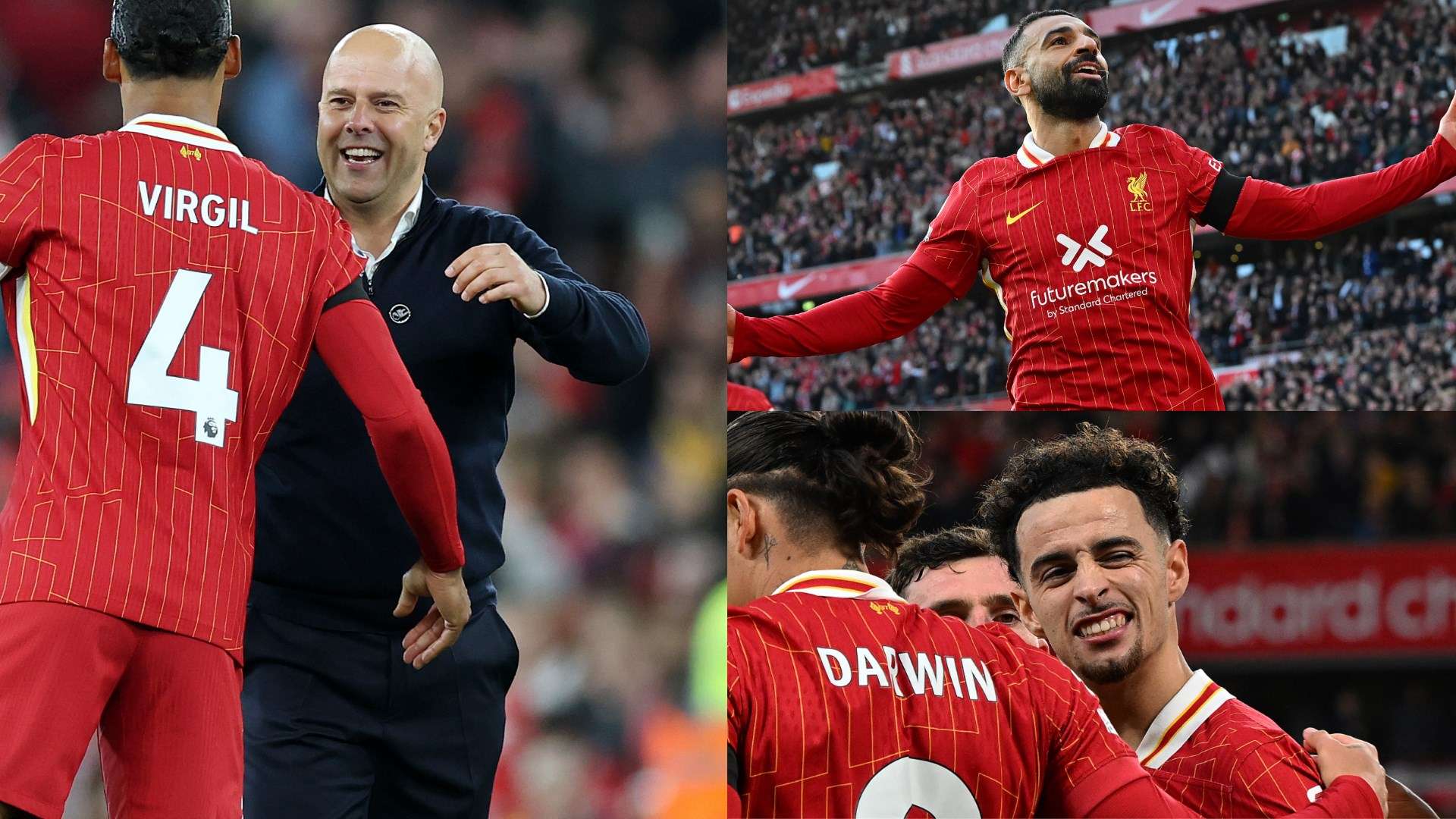 这篇文章将 这篇文章将