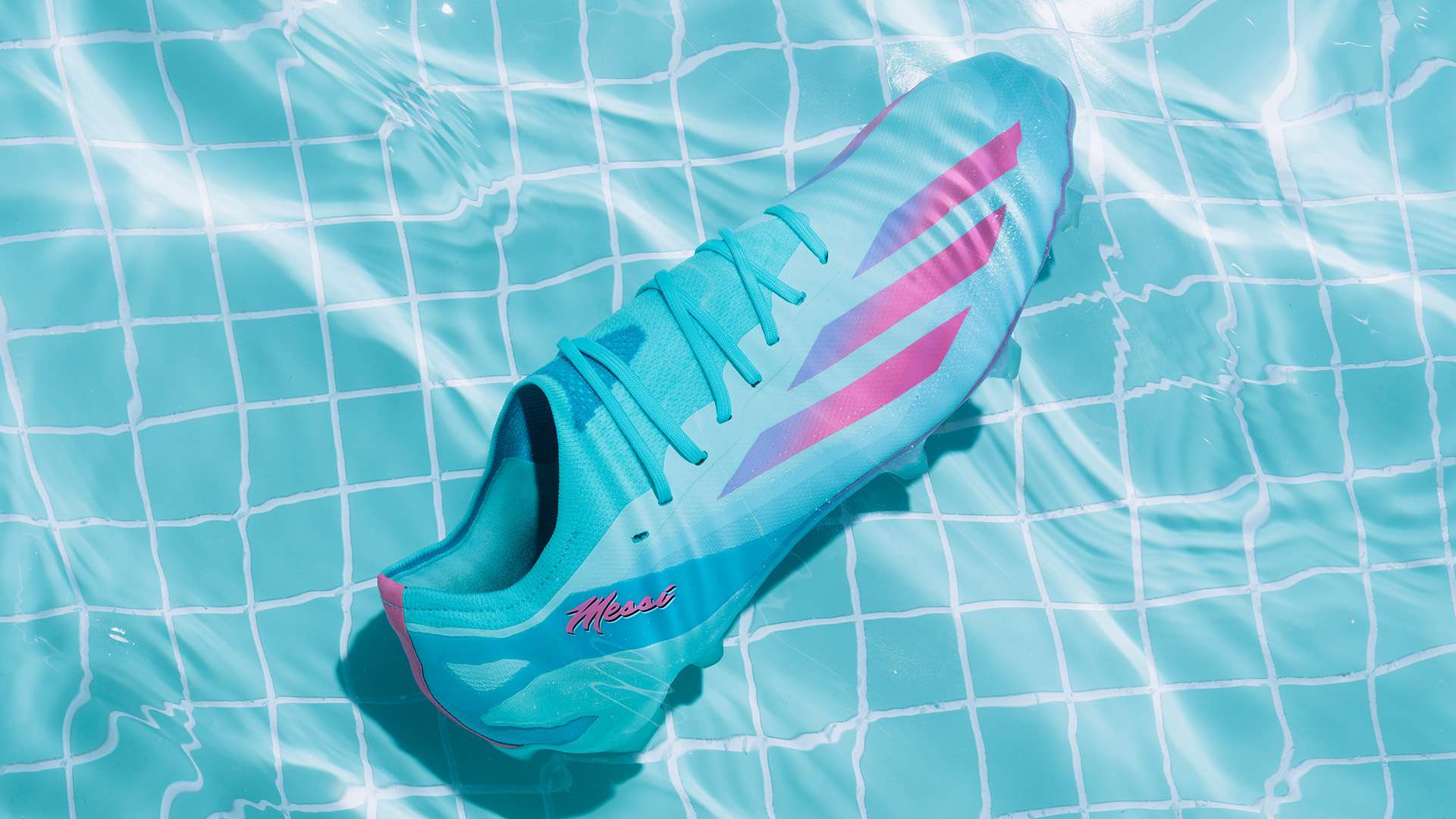 我的感恩与 我的感恩与